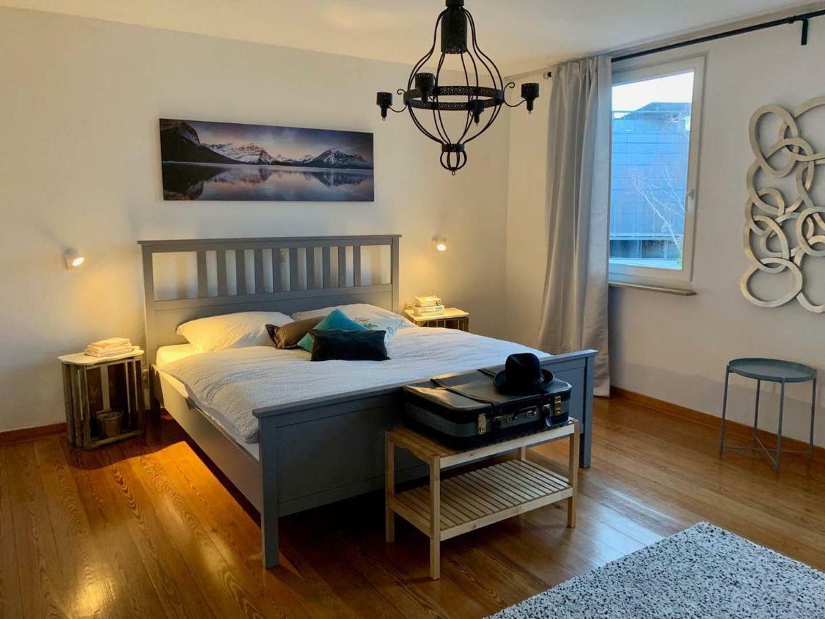 Deluxe Business City Apartments Metzingen Villa Landenberger ภายนอก รูปภาพ